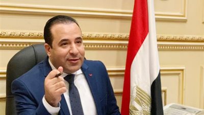  النائب أحمد بدوي    