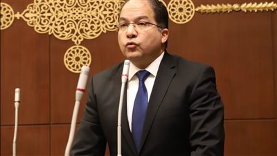 النائب عادل اللمعي    