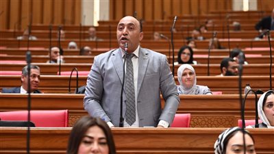 النائب حسام حسن     