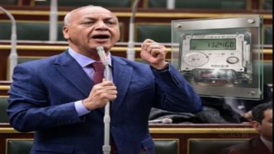  النائب مصطفى بكري    