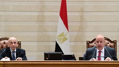 الجلسة العامة لمجلس النواب     