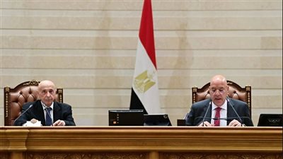 الجلسة العامة لمجلس النواب     