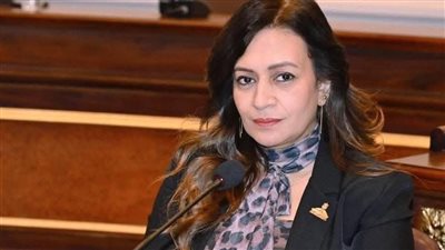 النائبة نيفين فارس    