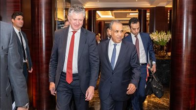 وزير الخارجية يلتقى مستشار الأمن القومي البريطاني     