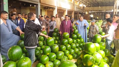 بطيخ - أرشيفية    