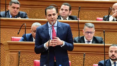 النائب أحمد عبدالجواد     