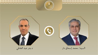  اتصال هاتفي بين وزير الخارجية ونظيره الباكستاني    