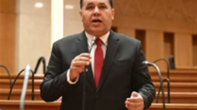 النائب عماد الغنيمي     
