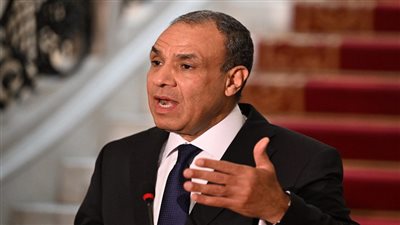  الدكتور بدر عبد العاطي - وزير الخارجية     