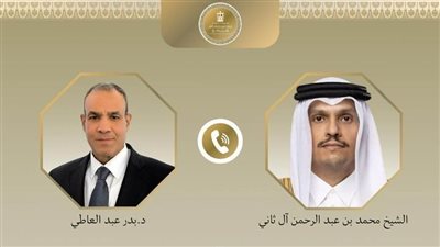 وزيرا خارجية مصر وقطر    