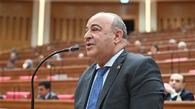 النائب مجدي المرشد    