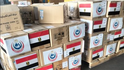 مصر ترسل شحنة أدوية ومستلزمات طبية إلى الكونغو وأوغندا    