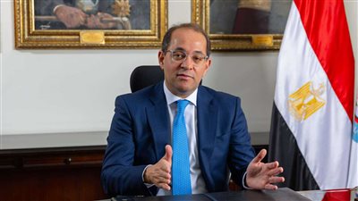 وزير المالية    