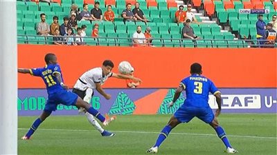 مصر وتنزانيا     