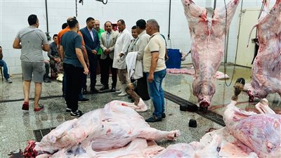  المجازر الحكومية
