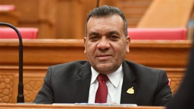 النائب أشرف مرزوق    
