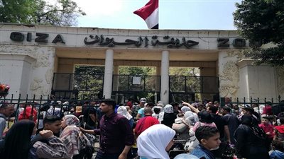 زائري حديقة الحيوان    