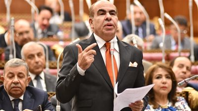 النائب ياسر الهضيبي     