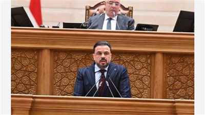 النائب محمد مجاهد     
