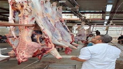 المجازر الحكومية في العيد