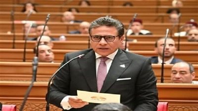 النائب طاهر الخولي    