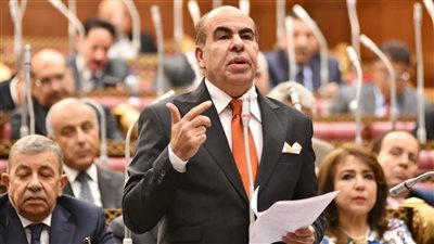 النائب ياسر الهضيبي     