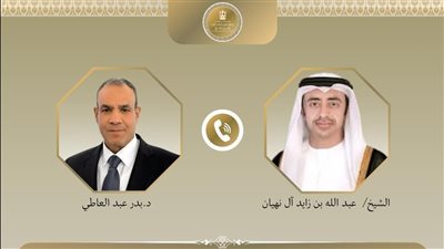 وزيرا خارجية مصر والإمارات    