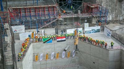 الشركات المصرية في حوض النيل    