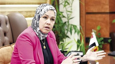 رشا عبد العال رئيس مصلحة الضرائب المصرية    