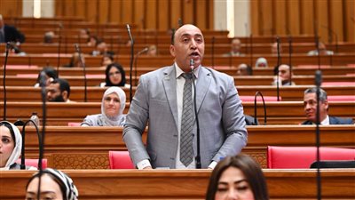 النائب حسام حسن     