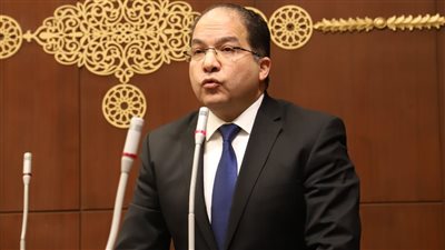 النائب عادل اللمعي     