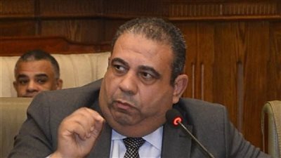  النائب أيمن الصفتي    