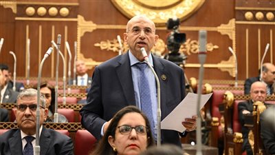 النائب أشرف عبد الغني    