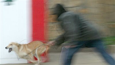 أرشيفية    