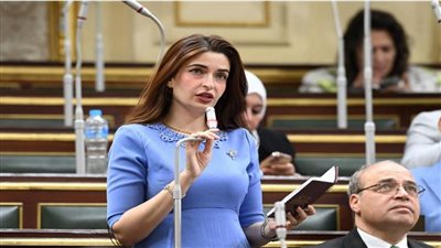 النائبة إيرين سعيد    