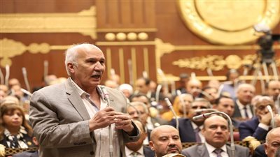 النائب السيد عبد العال    