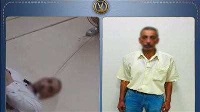 مدير بتعليم القليوبية     