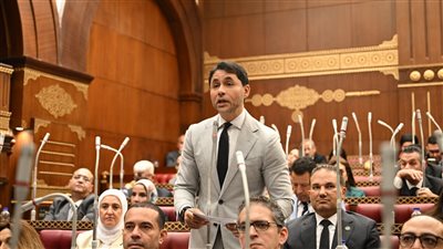 النائب محمد مظلوم    