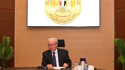 نائب رئيس مجلس الوزراء للشؤون الاقتصادية    