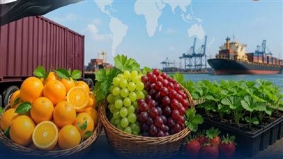 صادرات مصر الزراعية    