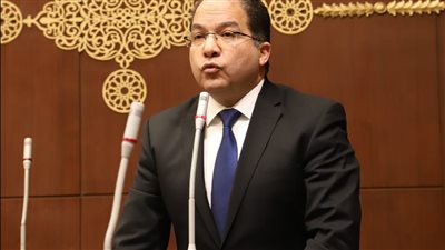 النائب عادل اللمعي    