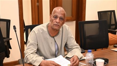النائب مدحت ركابي المنصوراوي    