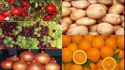 صادرات مصر الزراعية    