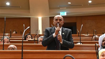 النائب محمد أبو الخير عبد العاطي    