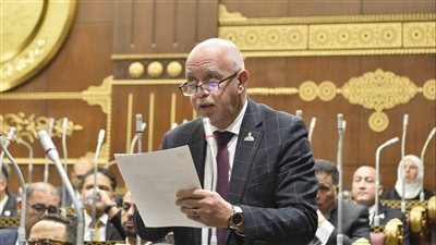 النائب حازم الجندي     