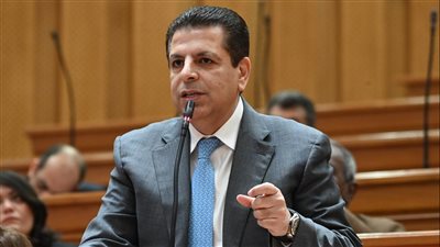 النائب محمود سامي الإمام     
