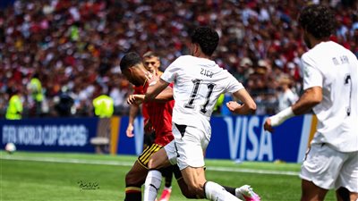 مصر وبلجيكا     