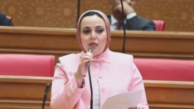 النائبة دنيا هاني سيف    