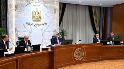 رئيس الوزراء يترأس اجتماع المجموعة الوزارية الاقتصادية    