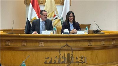 المجلس الأعلى للثقافة     
